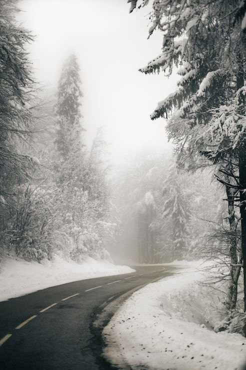 492x740 Winter mobile phone wallpaper Image
