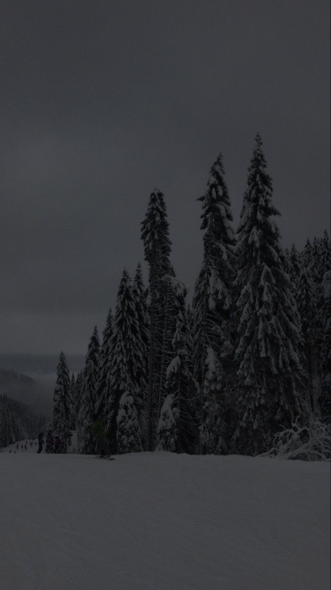 675x1200 Ios 16 winter wallpaper. In the snow, Dark winter core, Winter scenery
