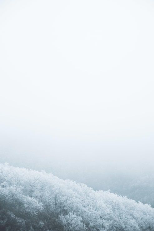 493x740 Grey Snow Photo Free High Quality Picture