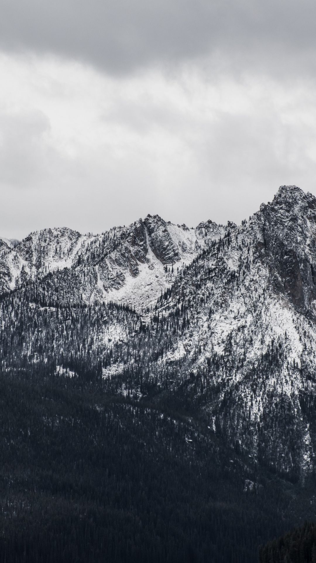 1080x1920 Grey Winter Mountains Wallpaper
