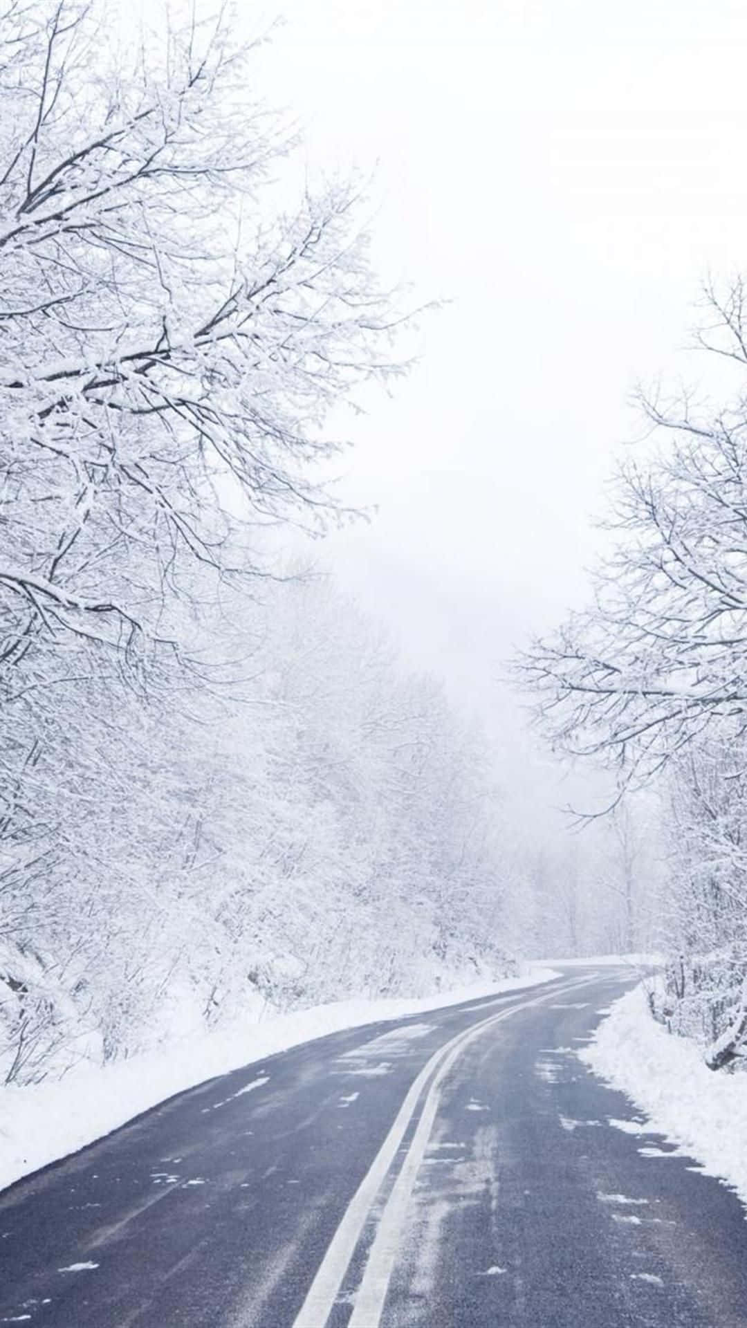 1080x1920 Download A Road Covered In Snow With Trees In The Background Wallpaper