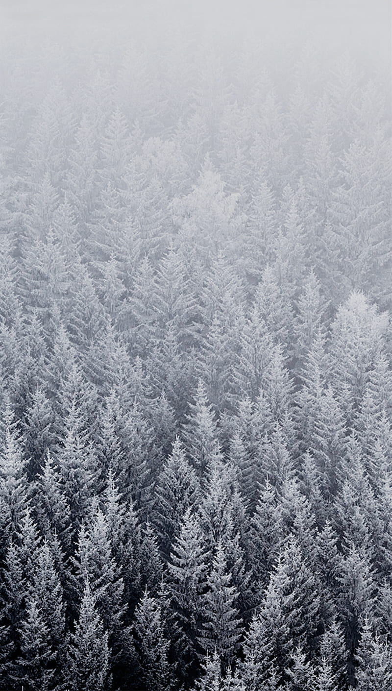 800x1410 HD snow iphone wallpaper