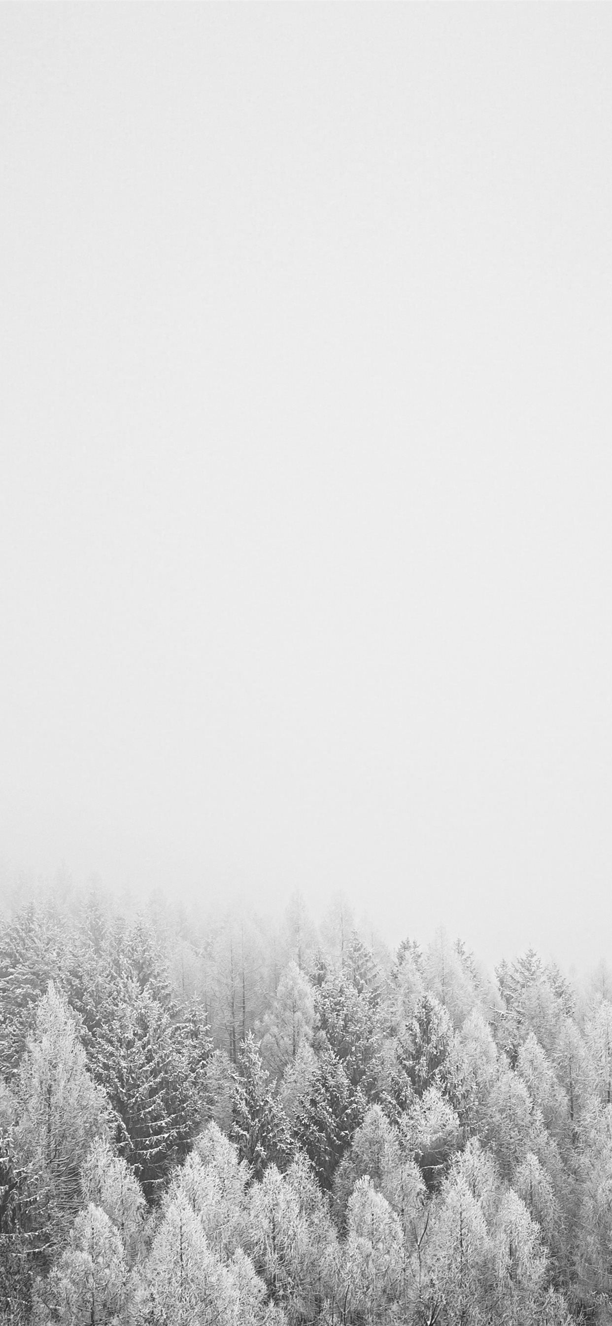 1242x2688 snow covered trees during daytime iPhone SE Wallpaper Free Download