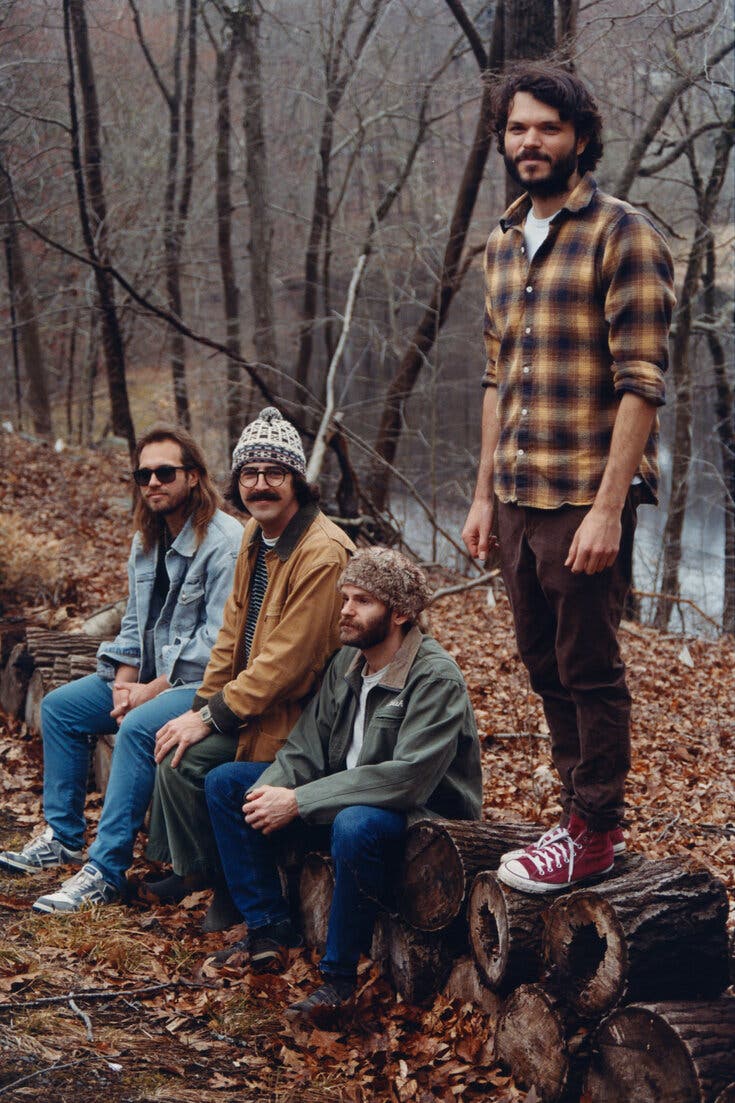 735x1103 Goose vs. Geese: How to Tell the Bands Apart