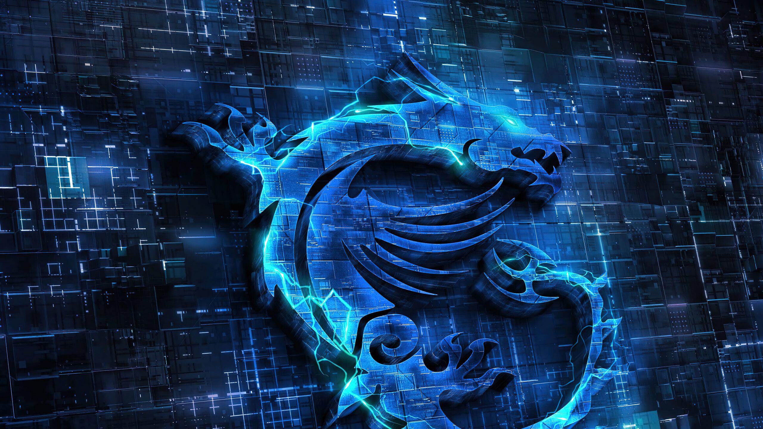 2560x1440 MSi Blue Logo Wallpaper 4K HD PC i