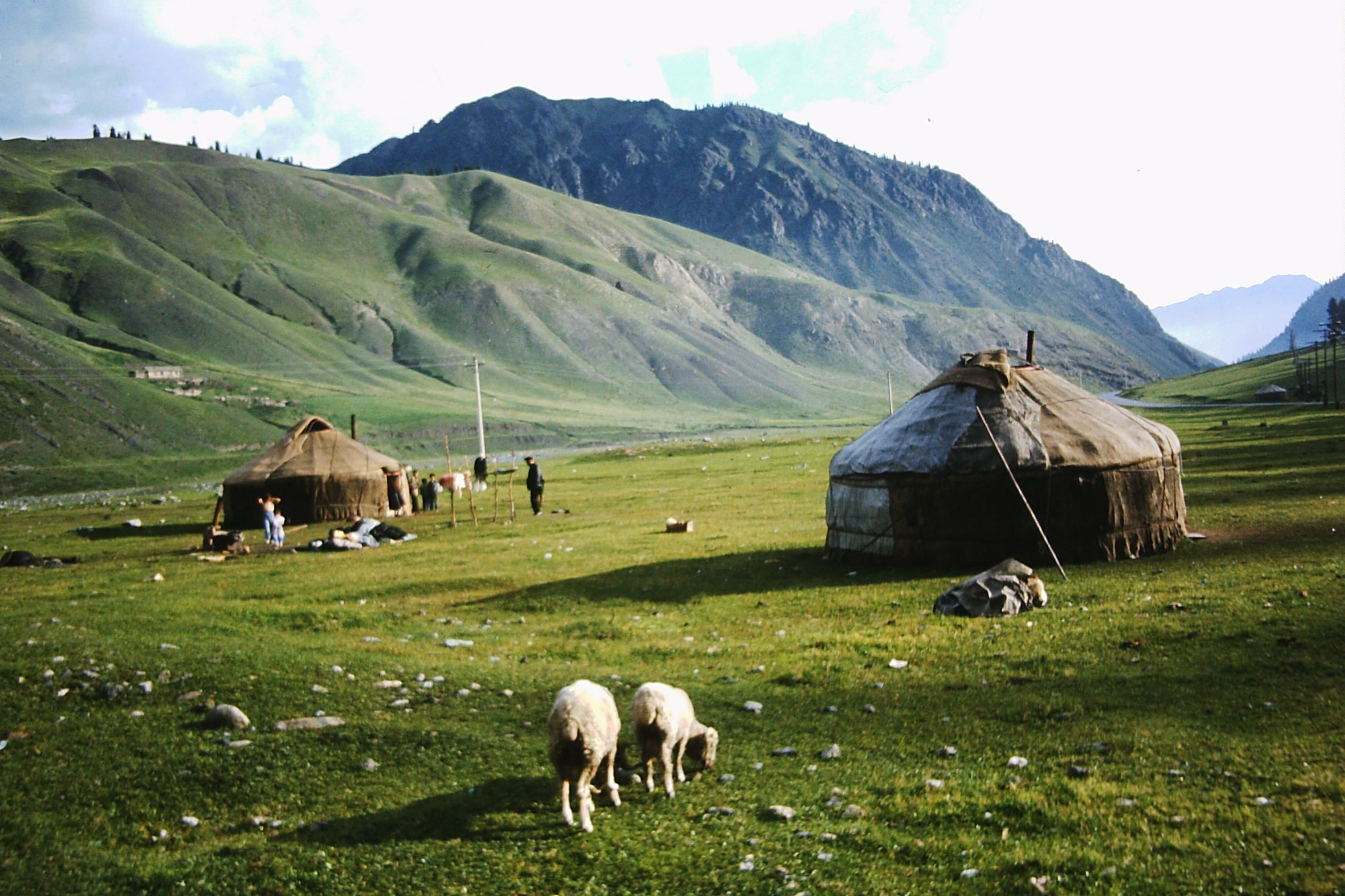 2760x1840 Yurt in