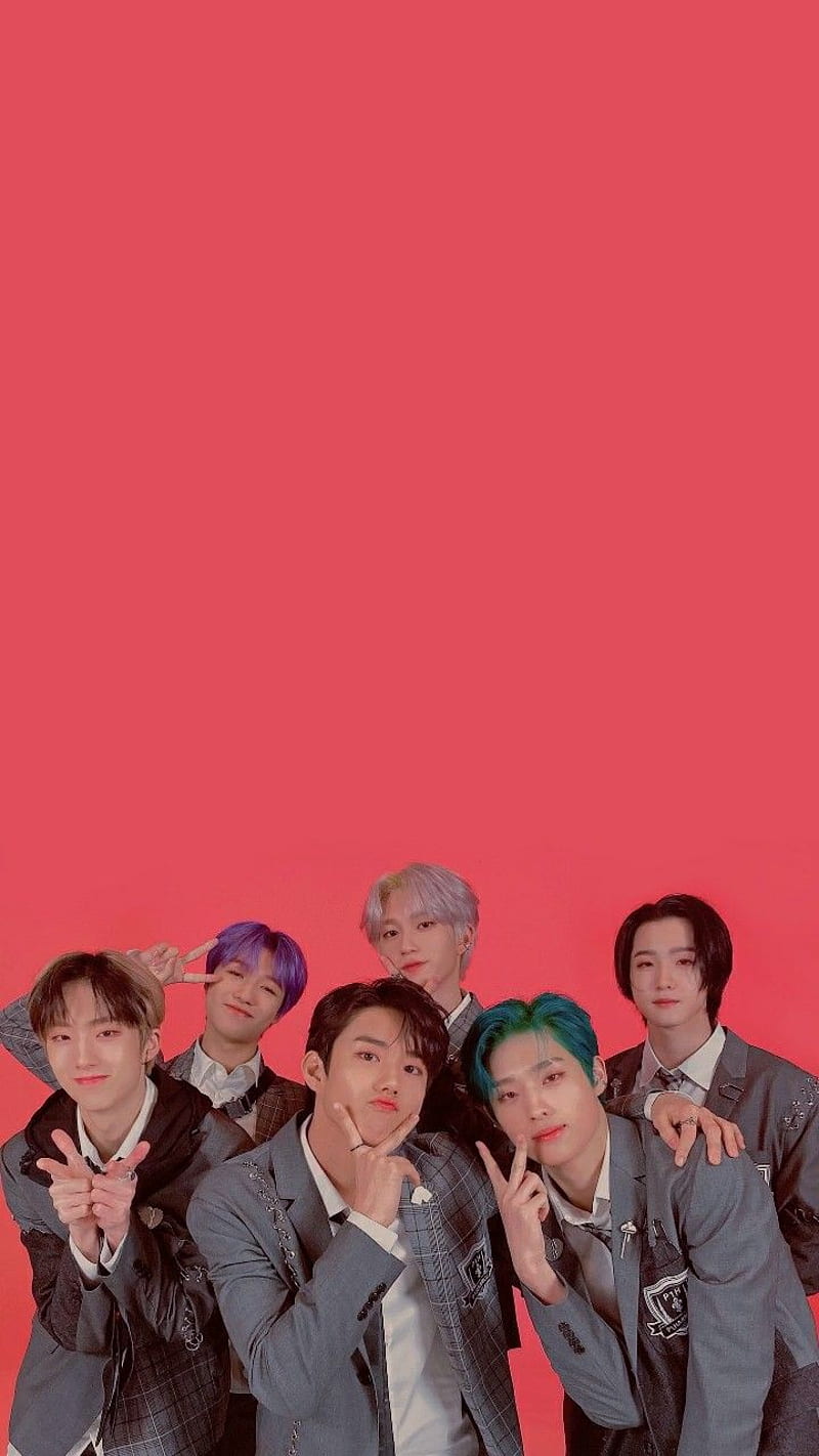 800x1422 1080P free download. P1harmony, intak, HD phone wallpaper