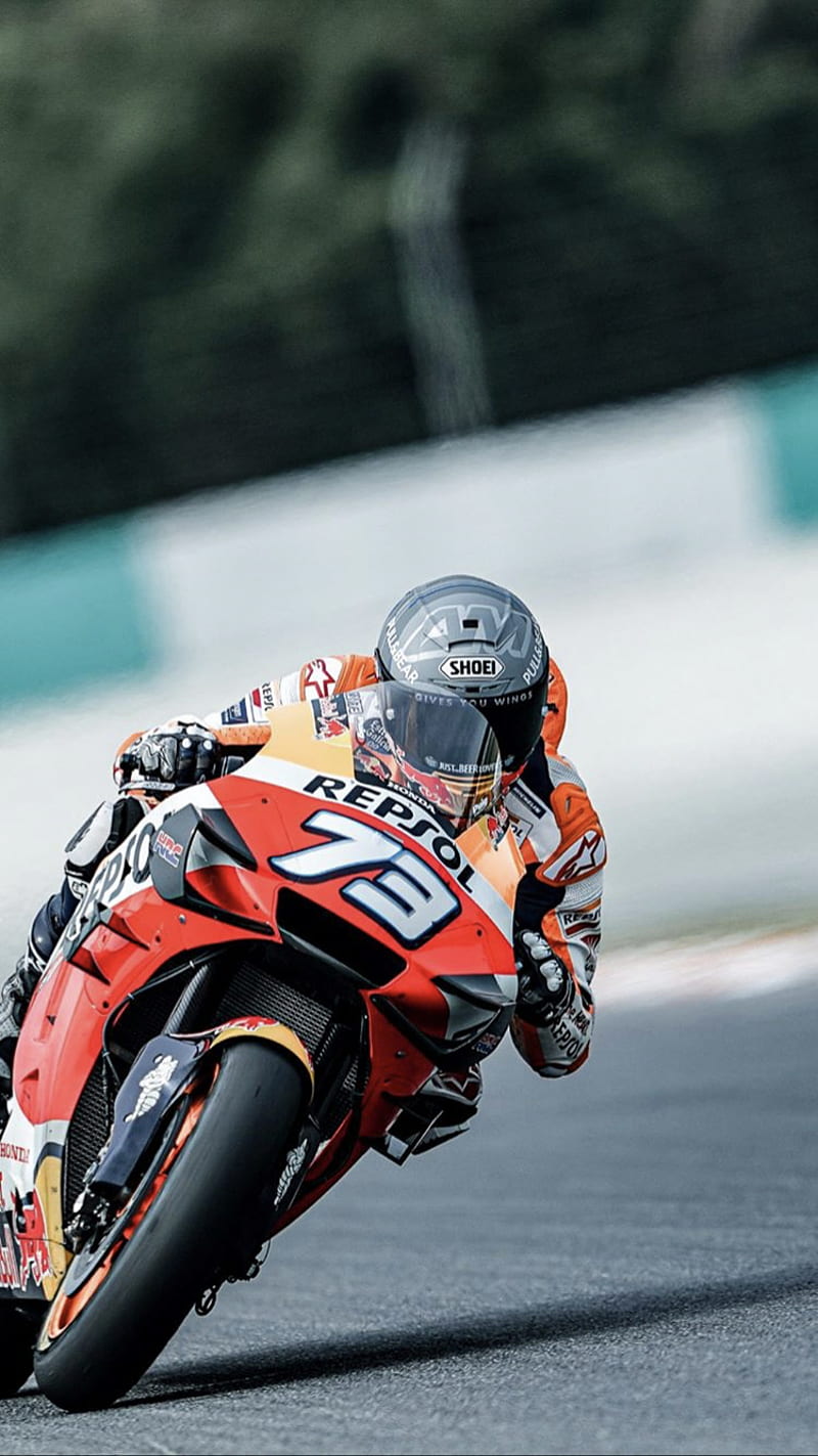 800x1423 Alex Marquez, honda, motogp, repsol, shoei, HD phone wallpaper