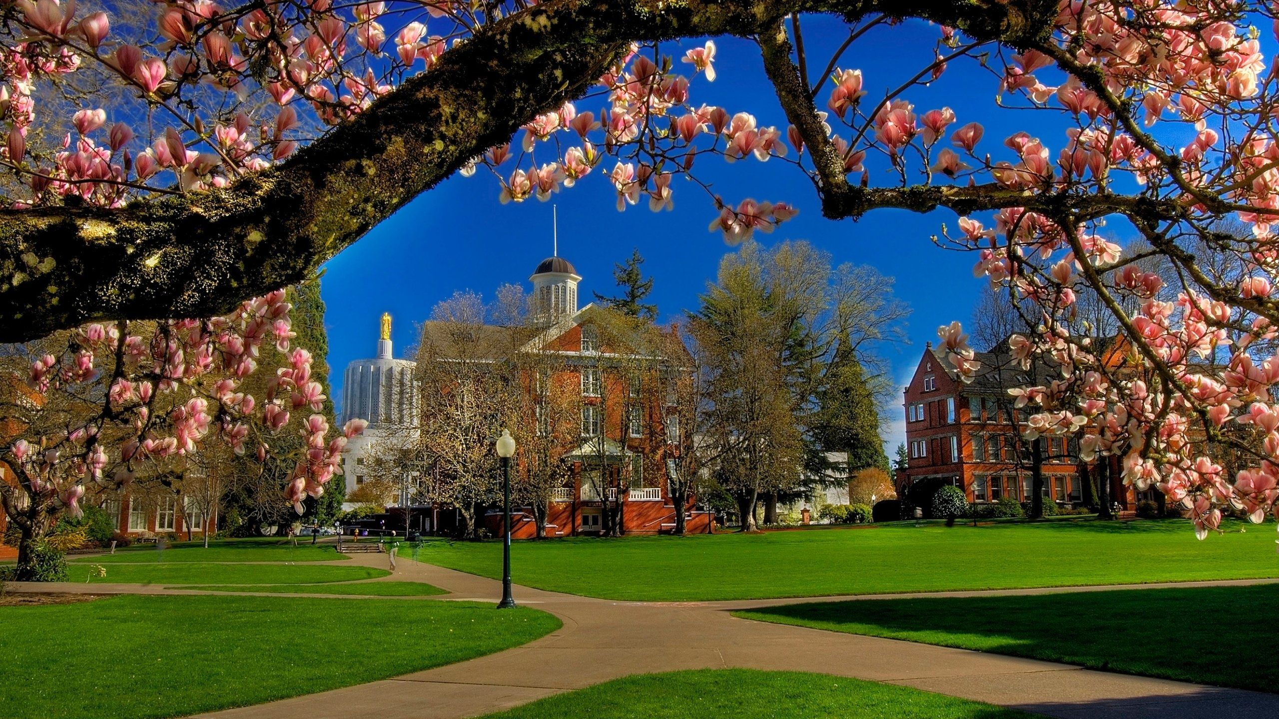 2560x1440 Salem (Oregon) Wallpaper