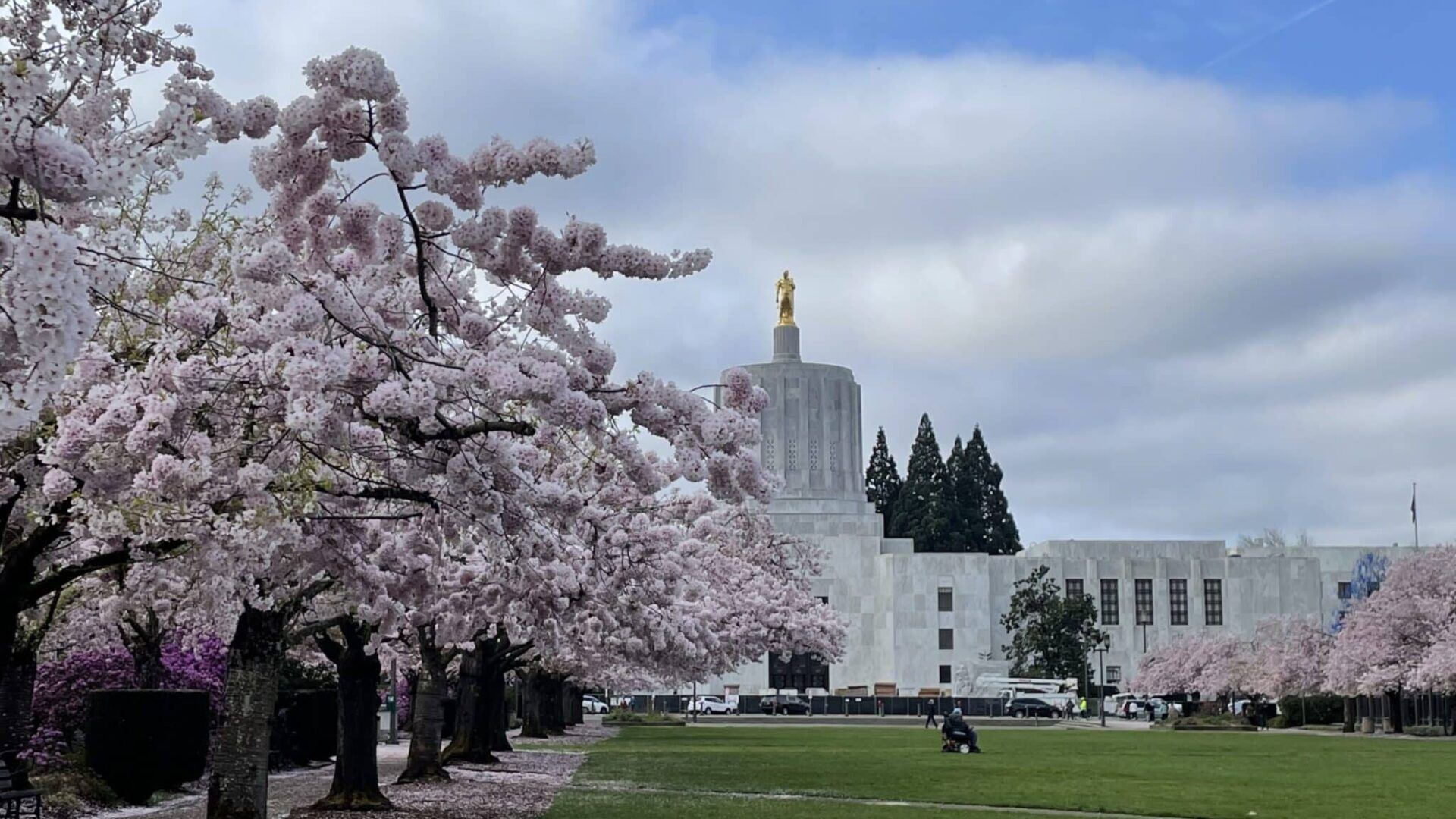 1920x1080 State Capitol State Park in Salem Oregon