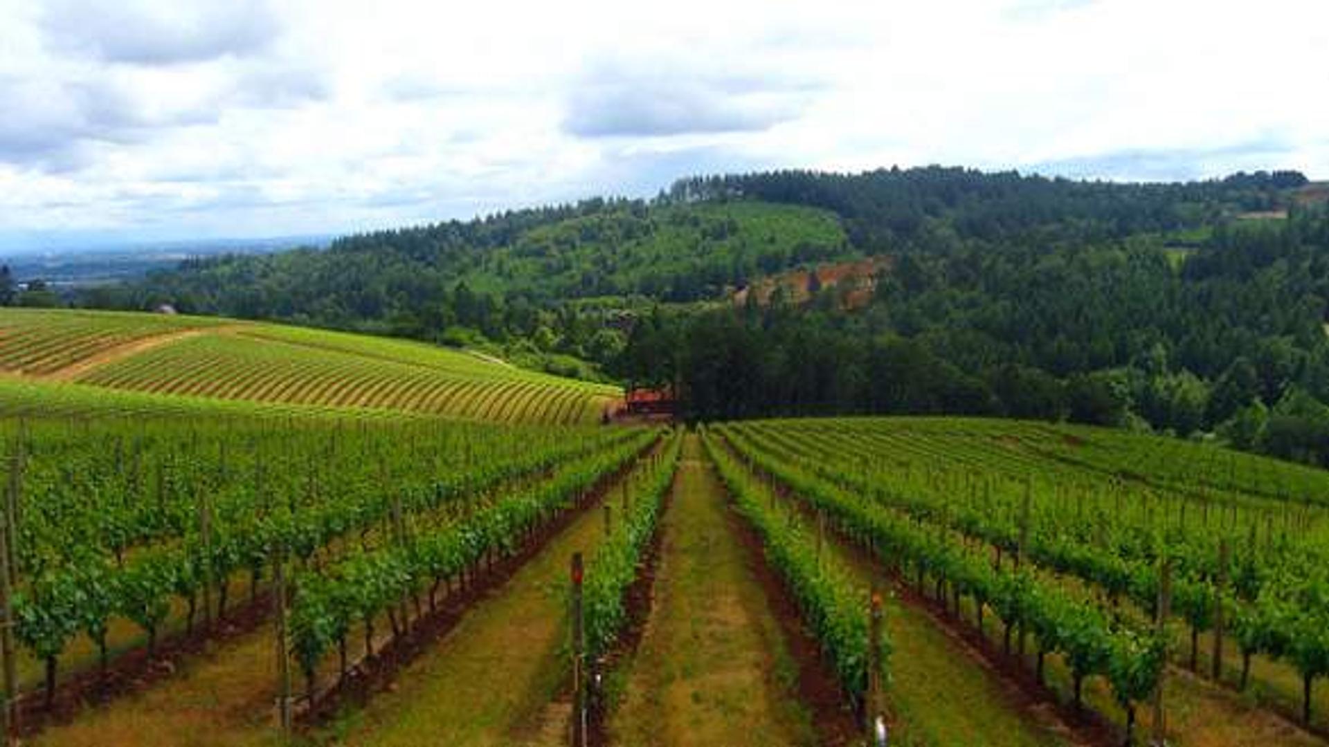 1920x1080 Five Things to Do in & Around Salem, Oregon