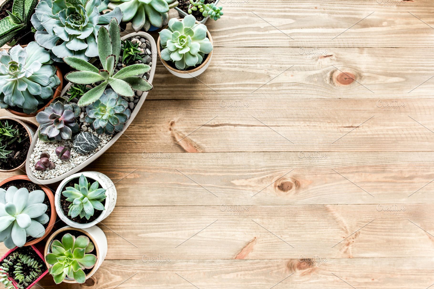 1820x1212 Workspace with succulents containing minimal, isolated, and wallpaper, an Arts & Entertainment Photo by K.Decor