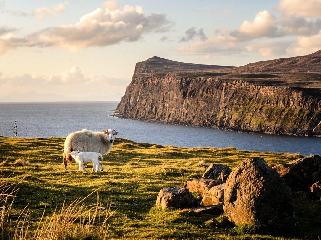 1024x768 Incredible Cliffs in Scotland (That Are Worth the Trip)