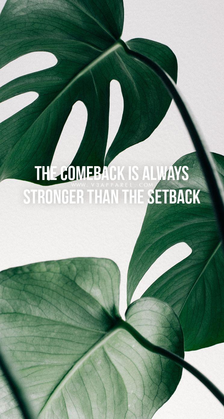 Minimalist Leaf Wallpapers - Top Free Minimalist Leaf Backgrounds