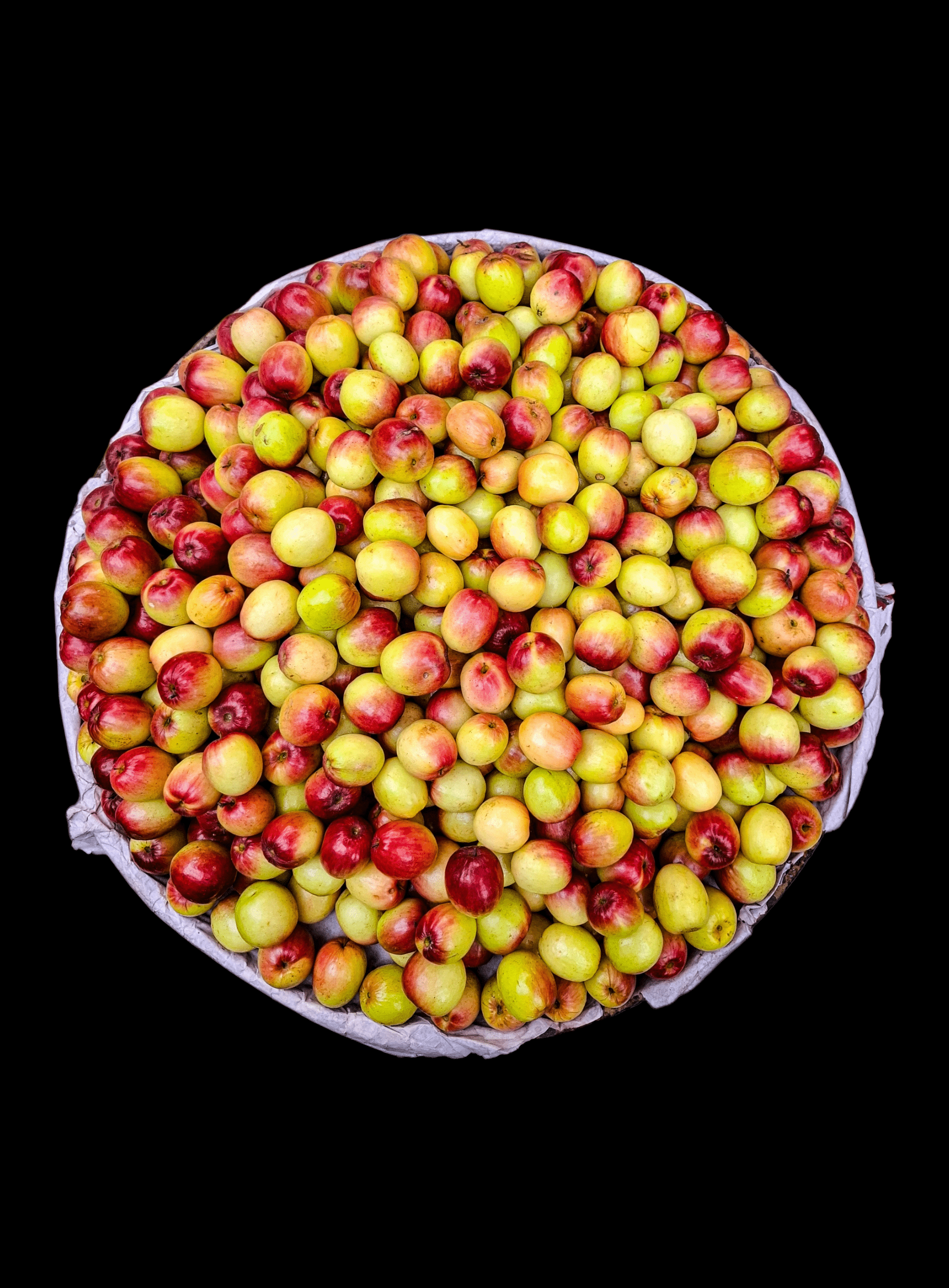 1886x2560 Jujube Fruit Photo, Download The BEST Free Jujube Fruit & HD Image