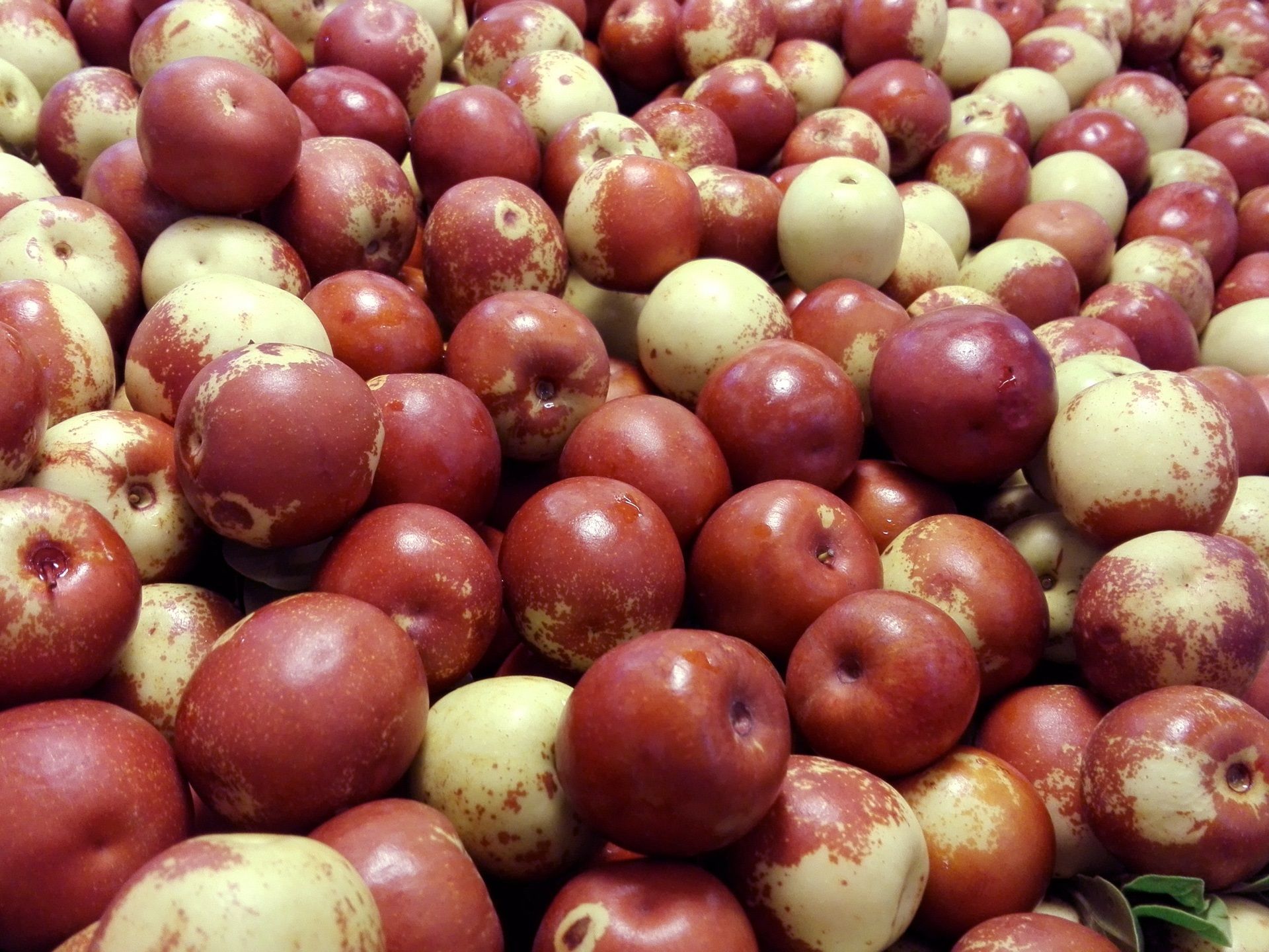 1920x1440 Jujube Wallpaper