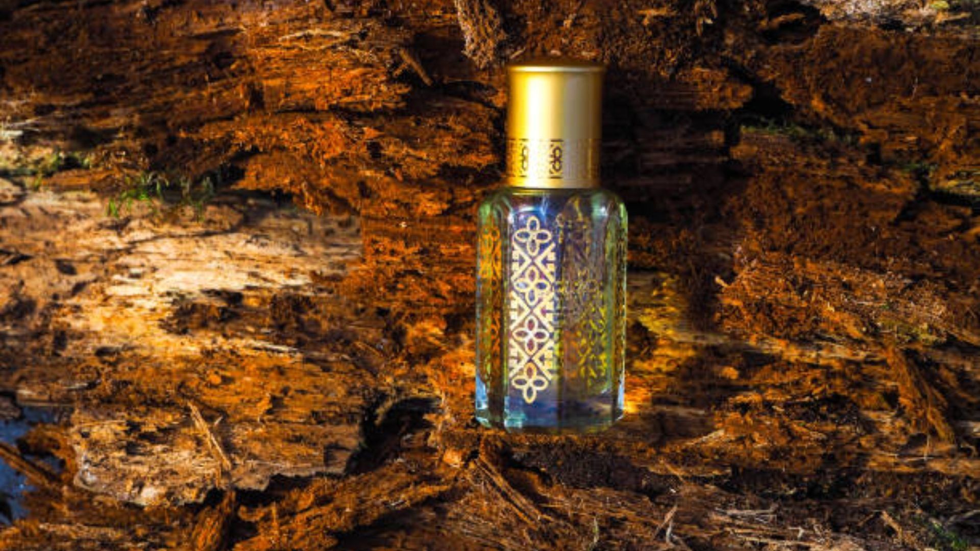1920x1080 Discovering White Oudh Attar: What Makes It Special?