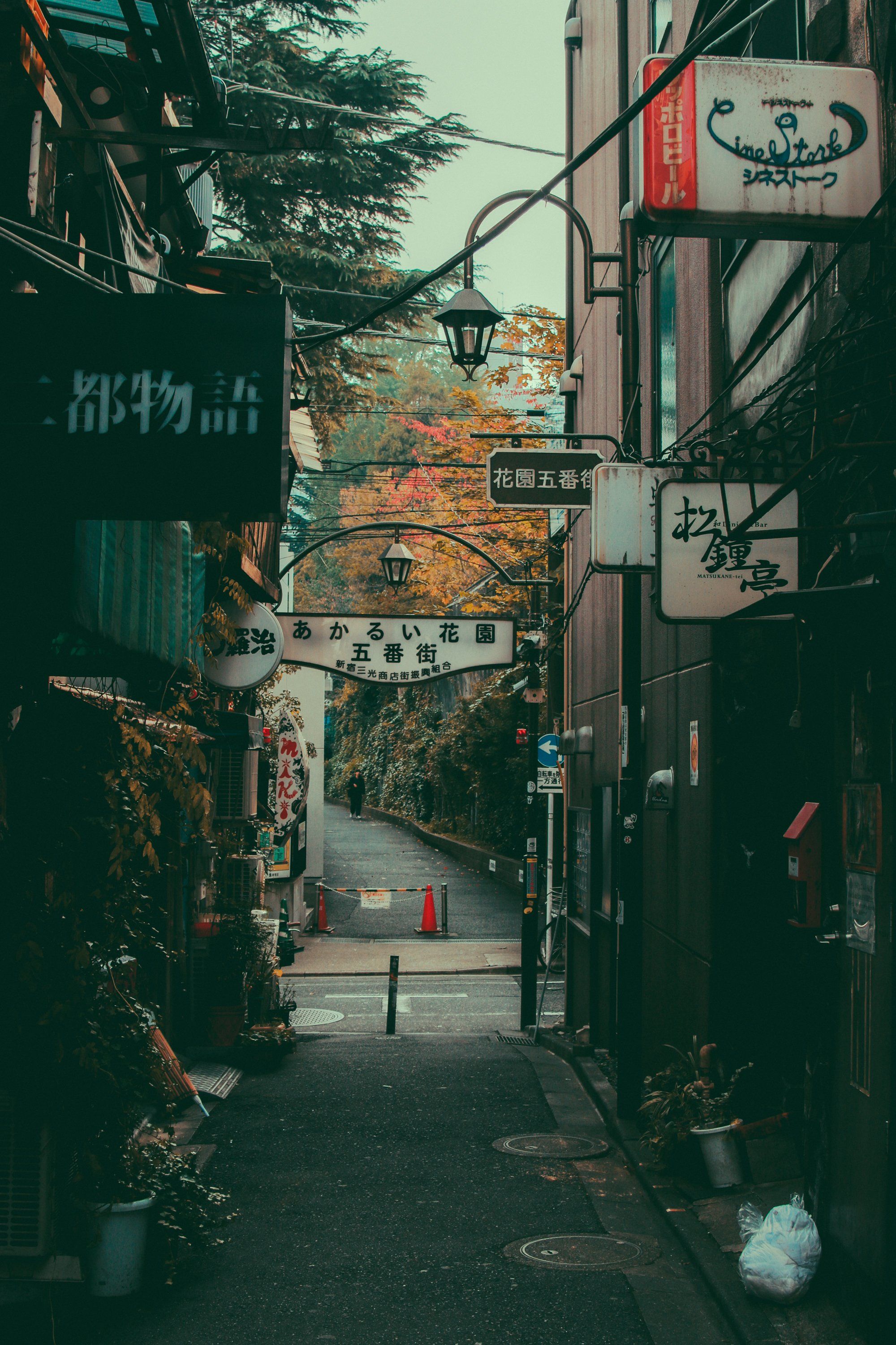 2000x3000 Shinjuku Golden Gai in Tokyo