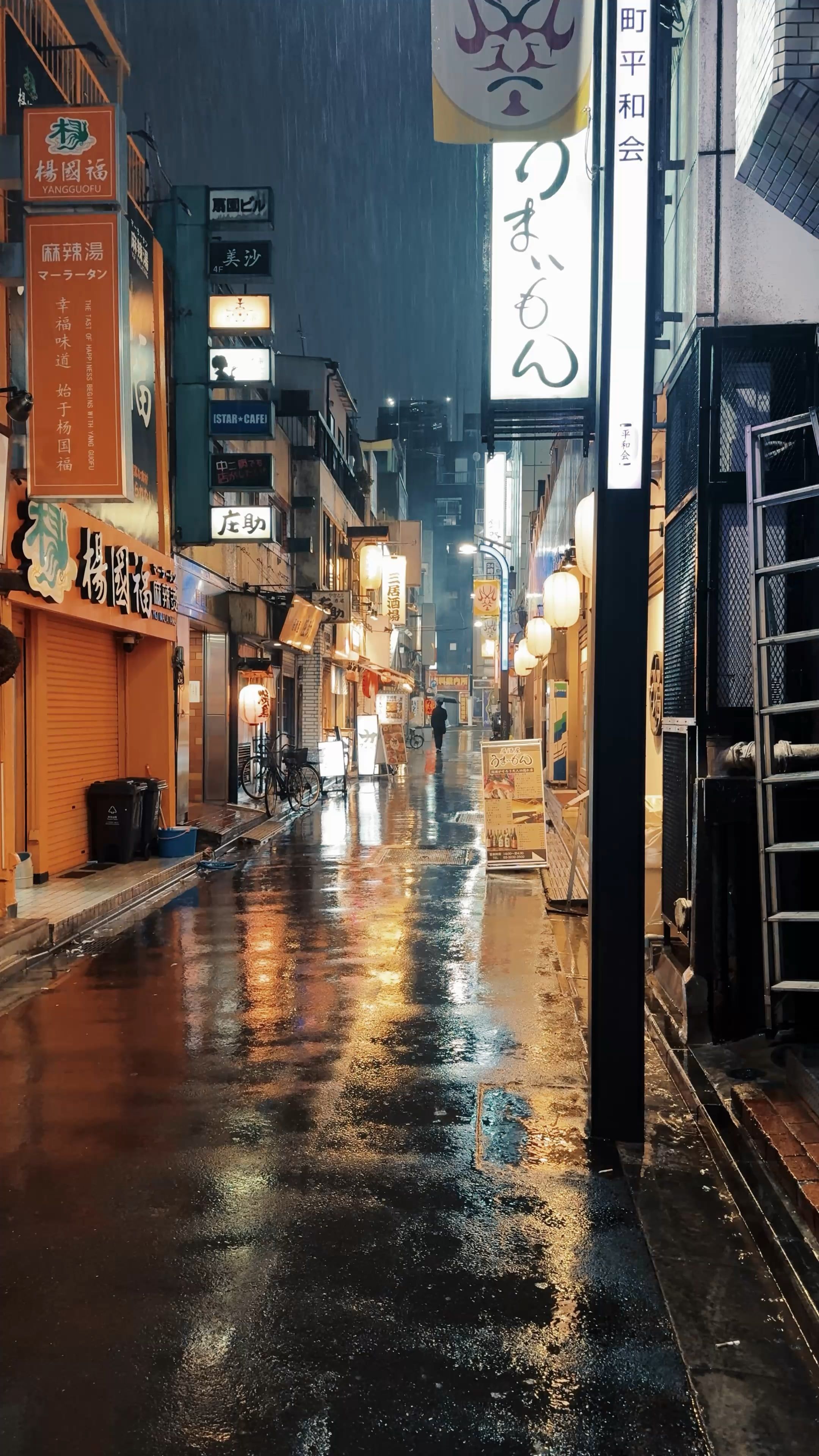 2160x3840 On The Way To Shinjuku Golden Gai
