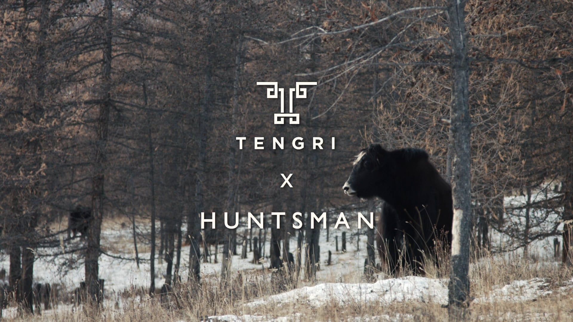 1920x1080 Tengri x Huntsman