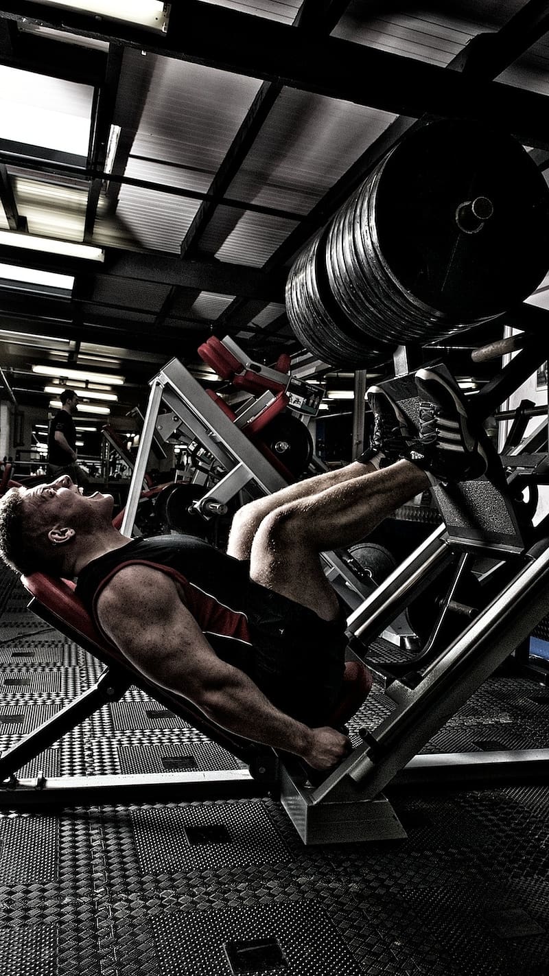 800x1422 Gym, Legs Workout, legs, workout, heavy weight, exercise, HD phone wallpaper