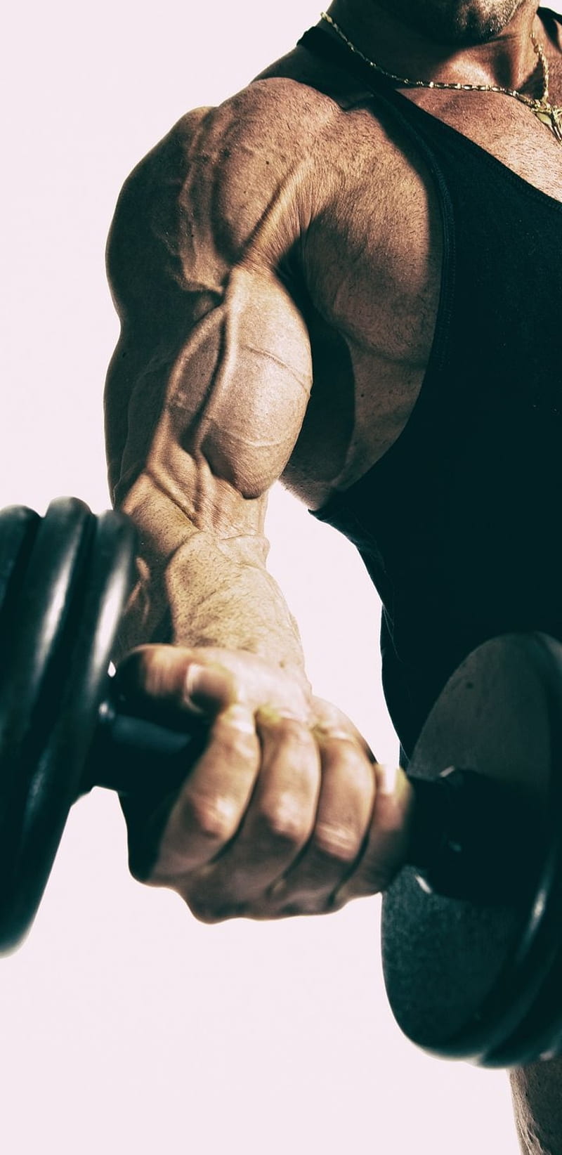 800x1644 Workout, body, building, HD phone wallpaper