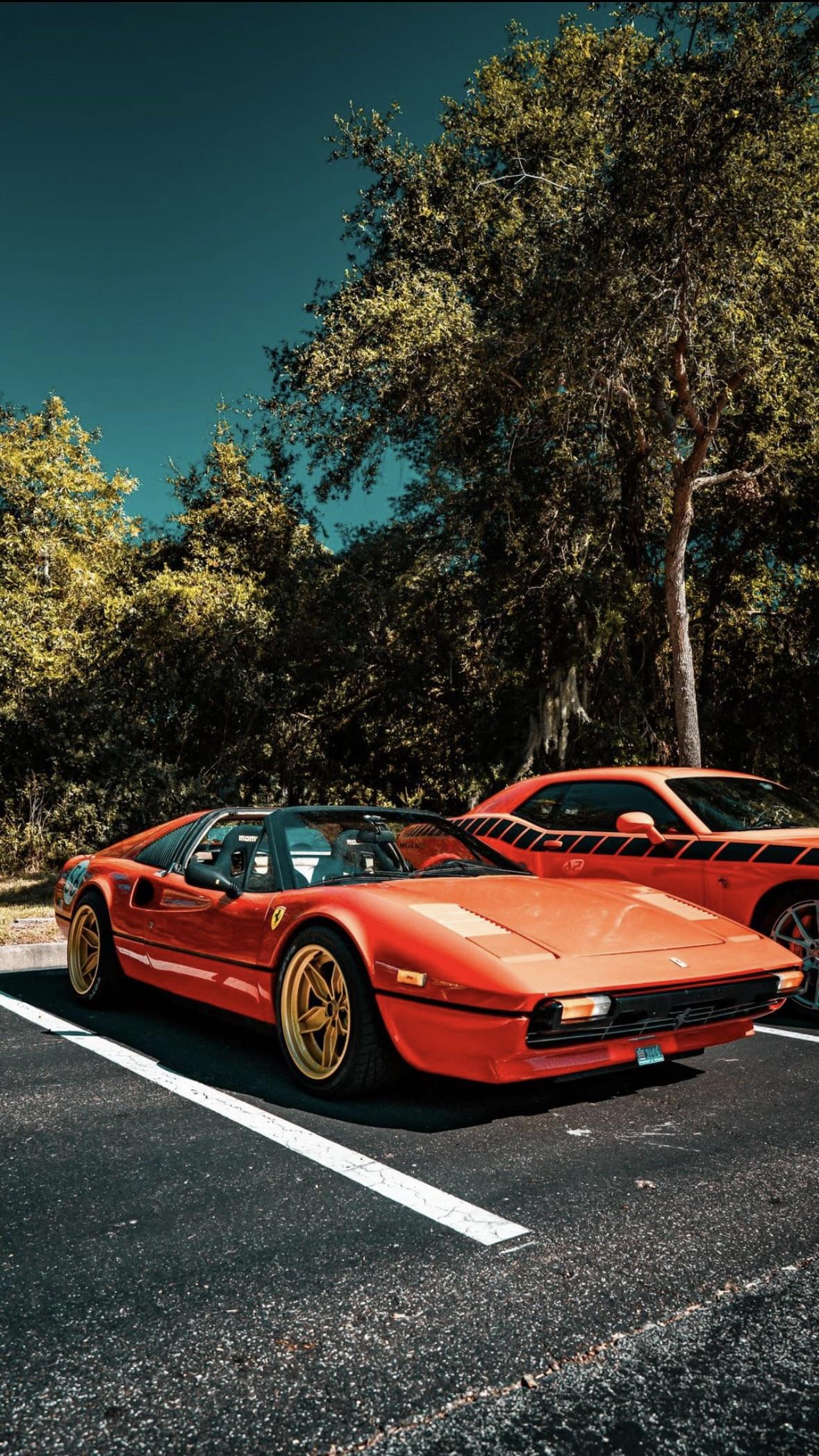 1179x2095 Ferrari 308 GTS