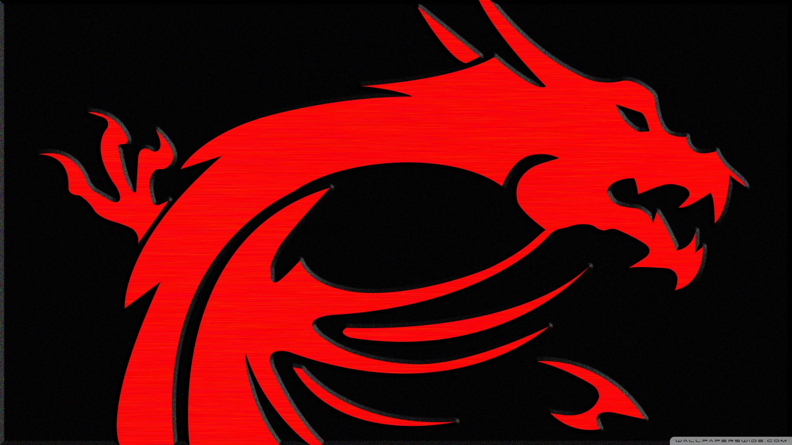 2560x1440 MSI Logo 4K UHD Wallpaper for UltraHD Desktop and TV