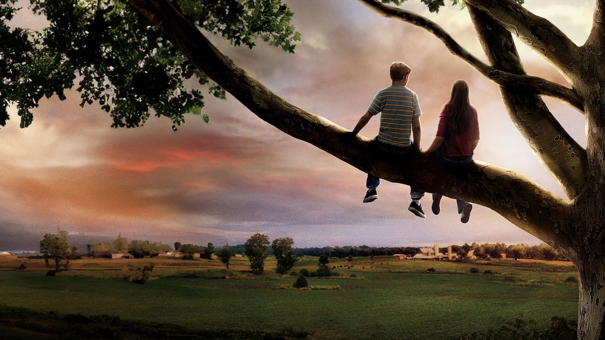 2048x1152 Flipped (2010)