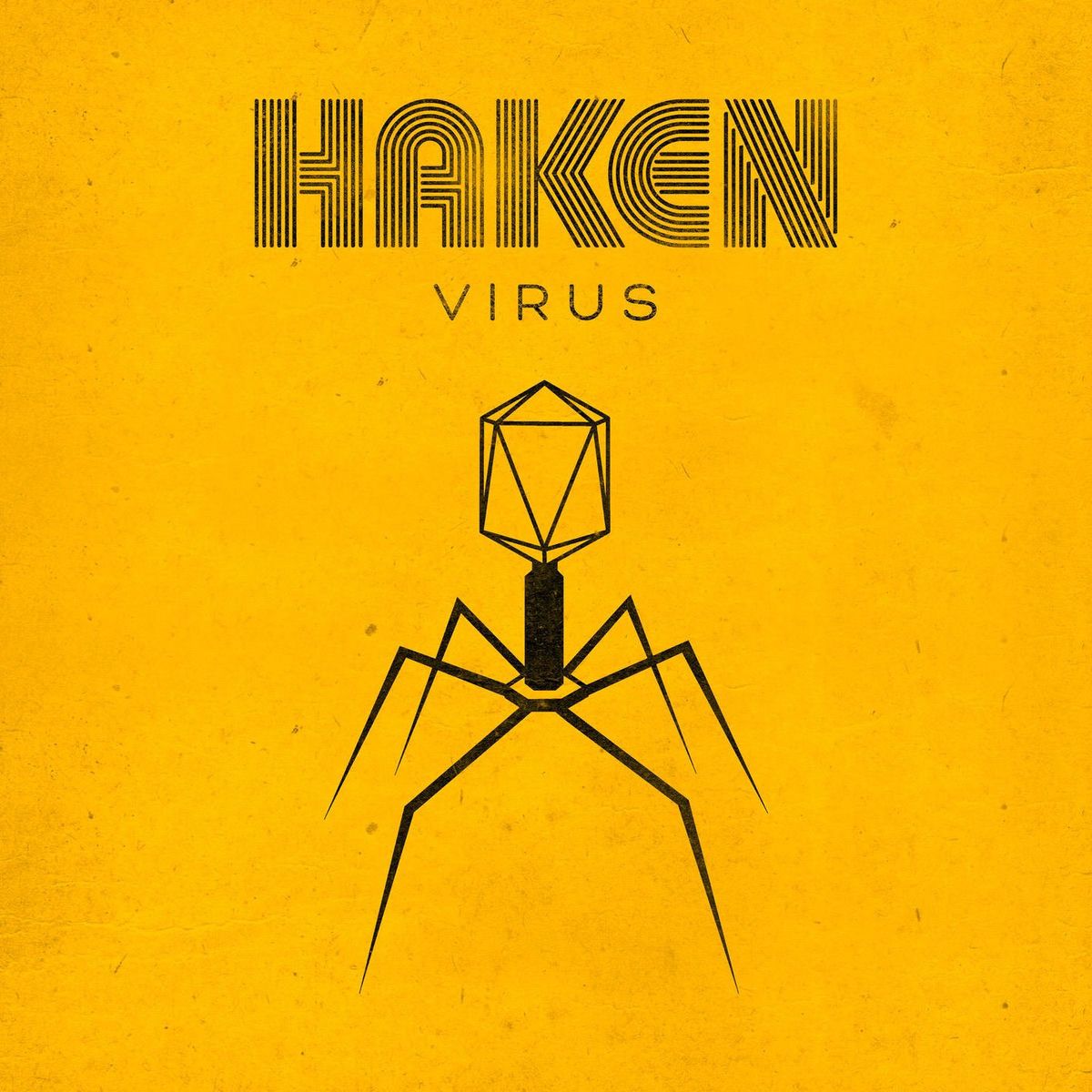 1200x1200 Haken