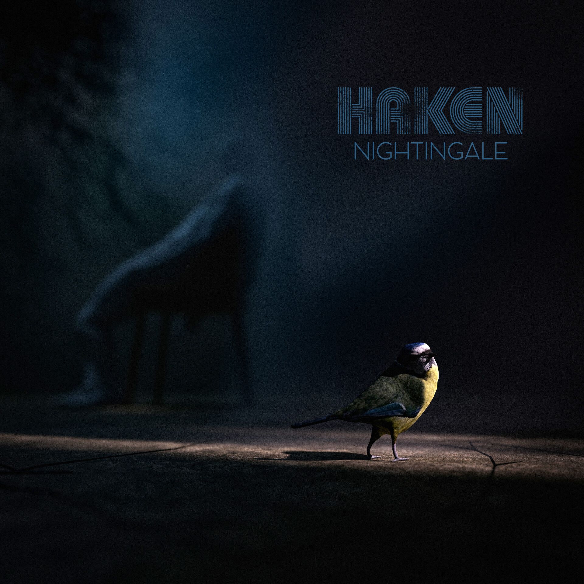 1920x1920 Haken