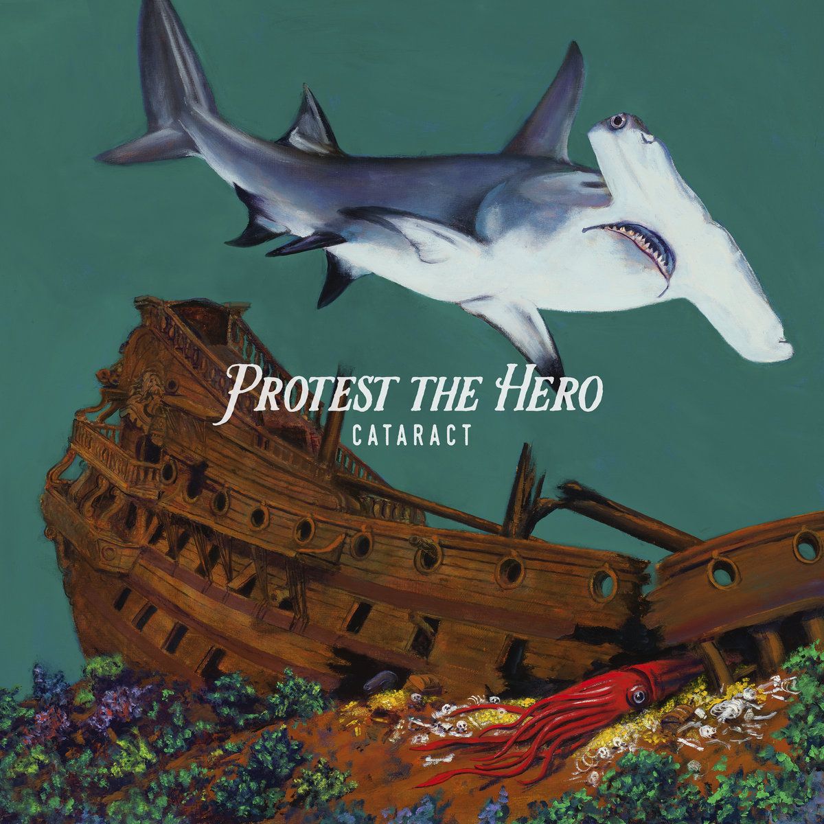 1200x1200 Cataract. Protest the Hero