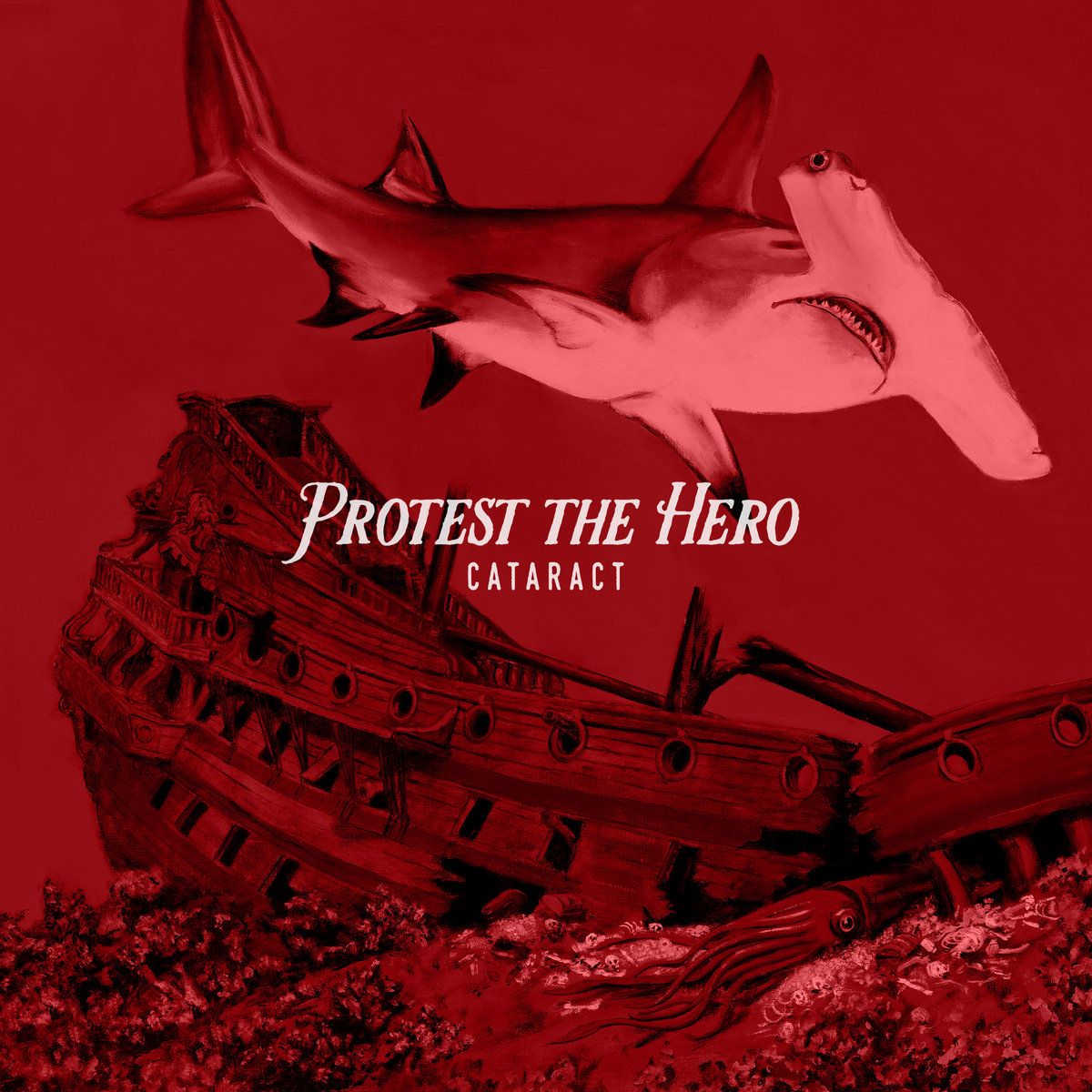 1200x1200 Cataract (Instrumental). Protest the Hero