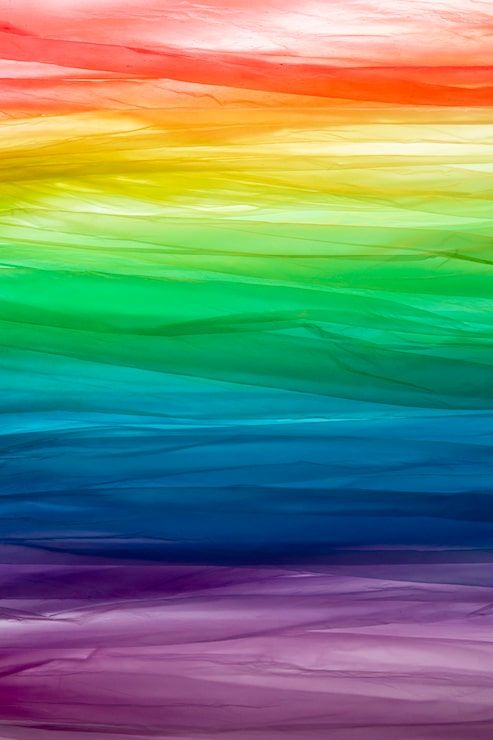 493x740 Rainbow Pride Wallpaper Photo Free High Quality Picture