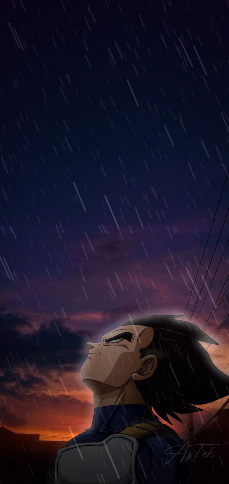 736x1553 Vegeta rain wallpaper