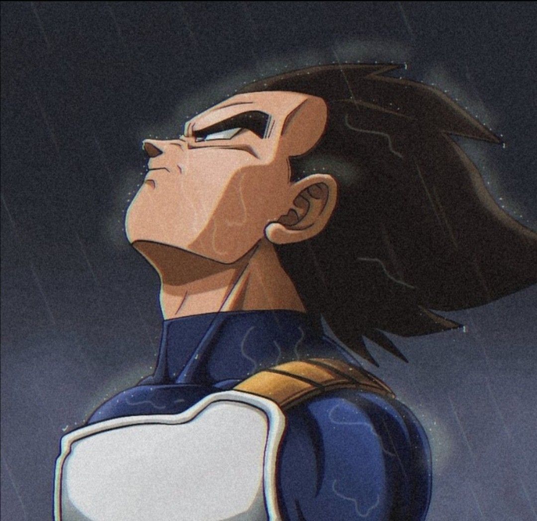 1080x1048 Vegeta Sad Wallpaper
