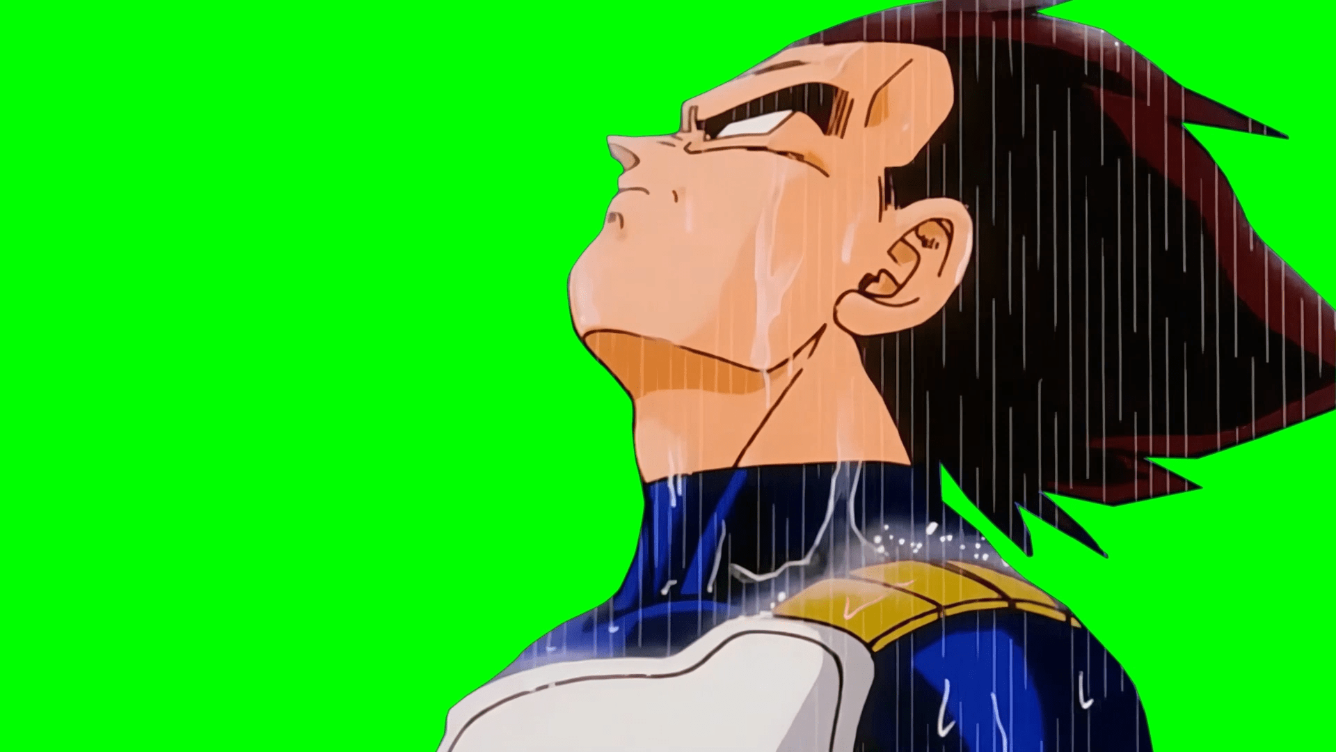 1920x1080 Vegeta standing in the rain Ball Z (Green Screen)