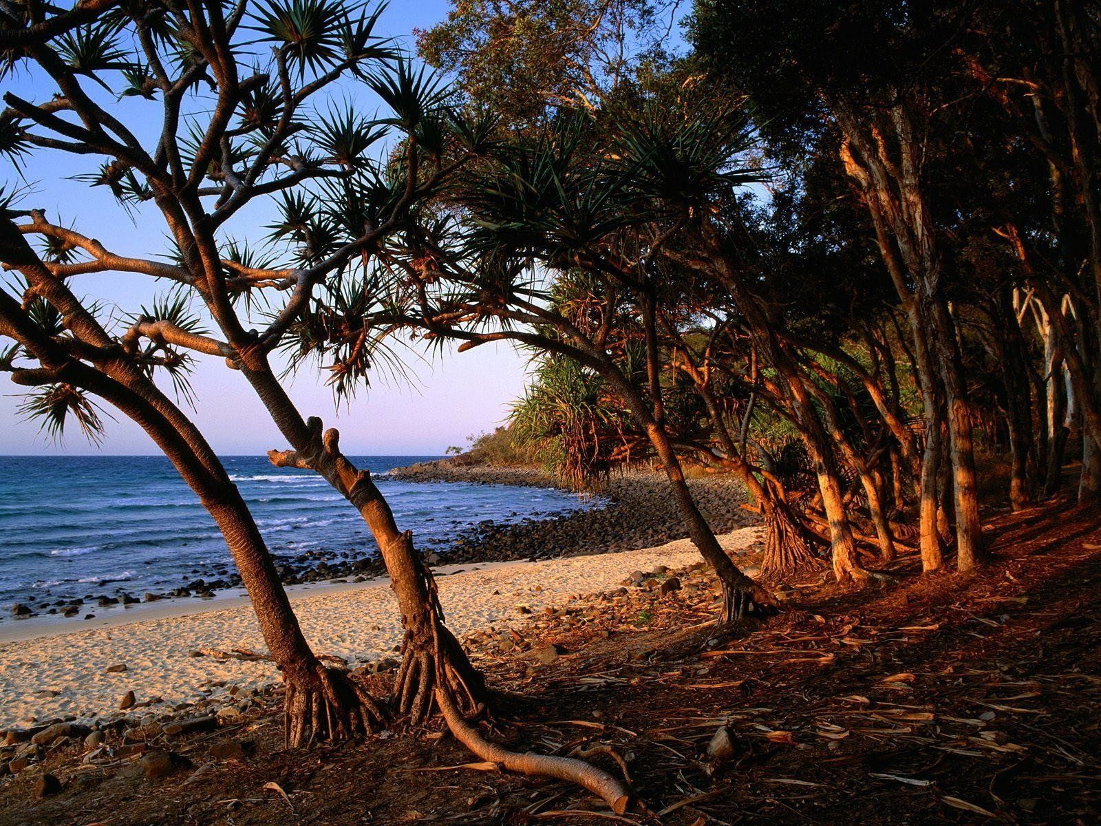 1600x1200 Noosa Nature Escape: Serene Beach HD Wallpaperx1200