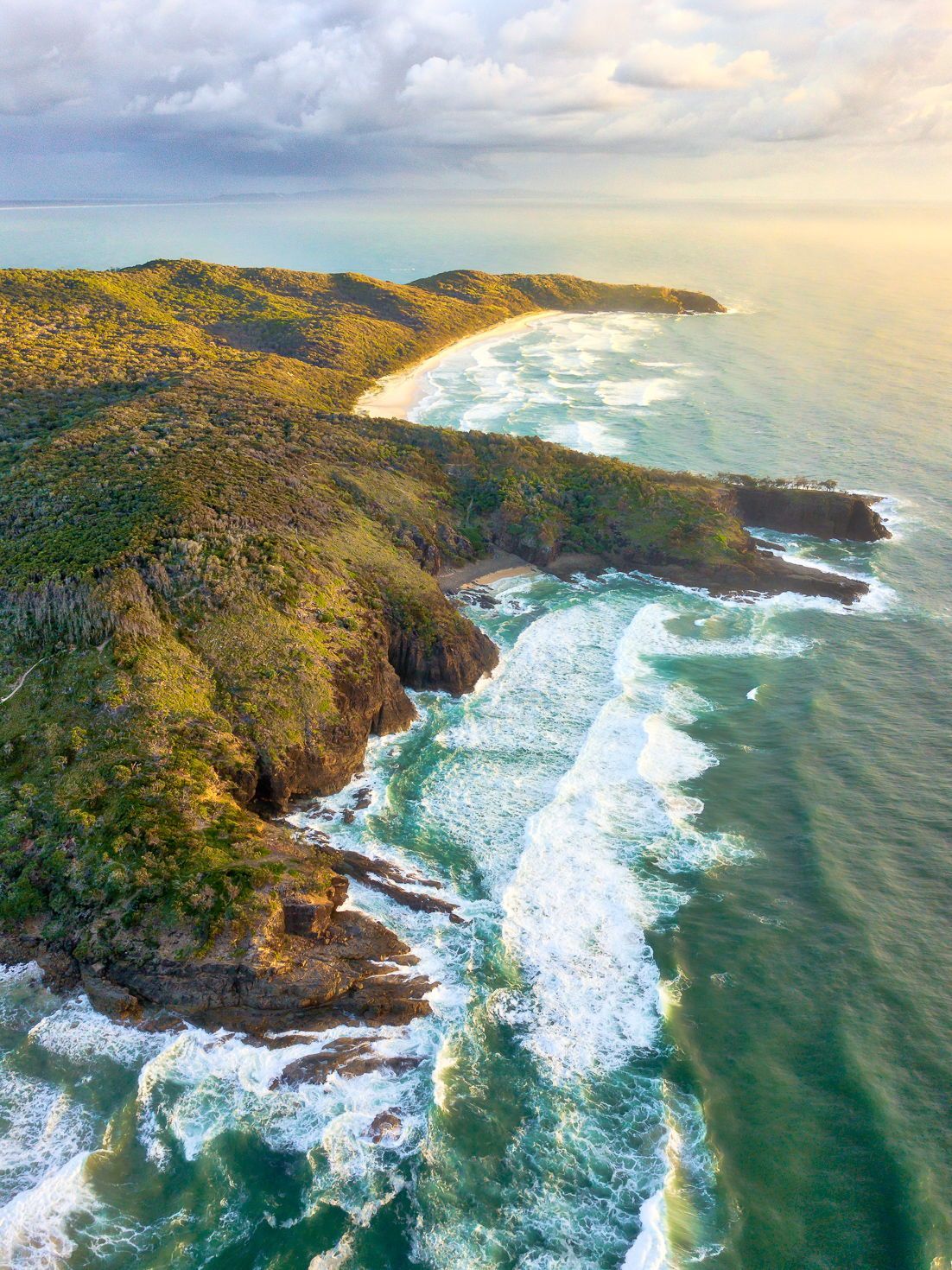 1102x1470 Noosa Wallpaper