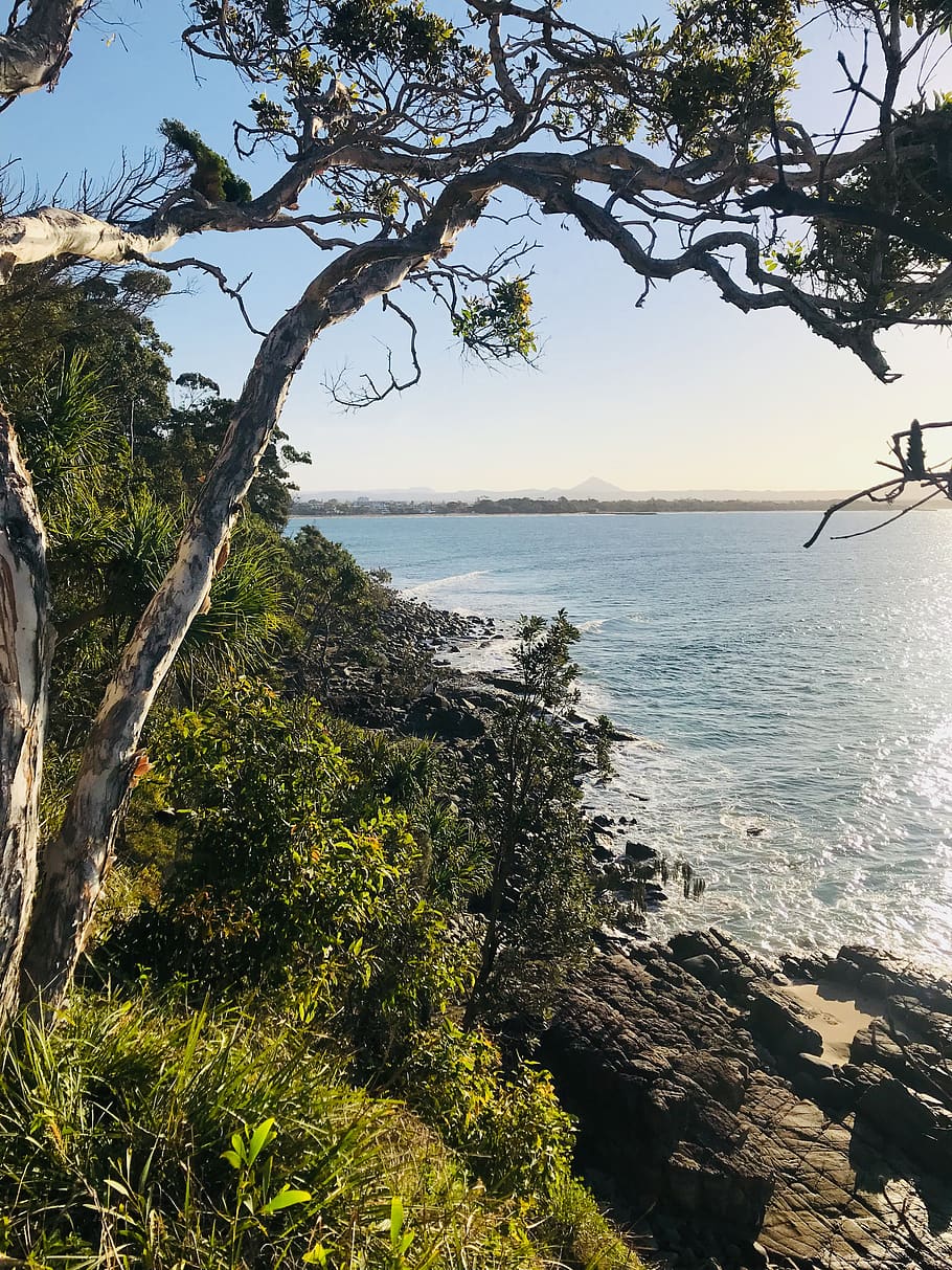910x1213 Noosa heads 1080P, 2K, 4K, 5K HD wallpaper free download