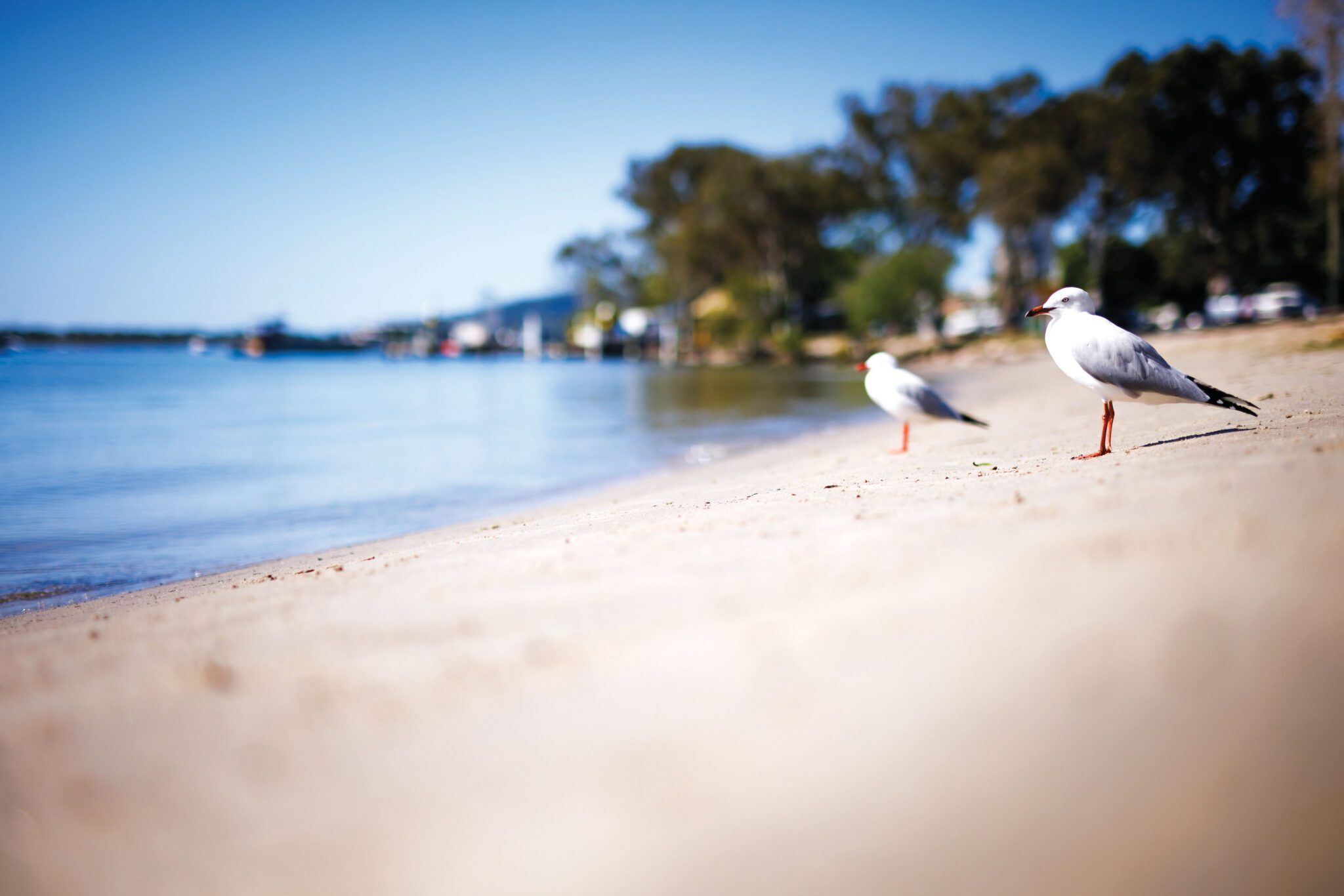 2048x1366 IN Noosa Magazine. Winter on the Water