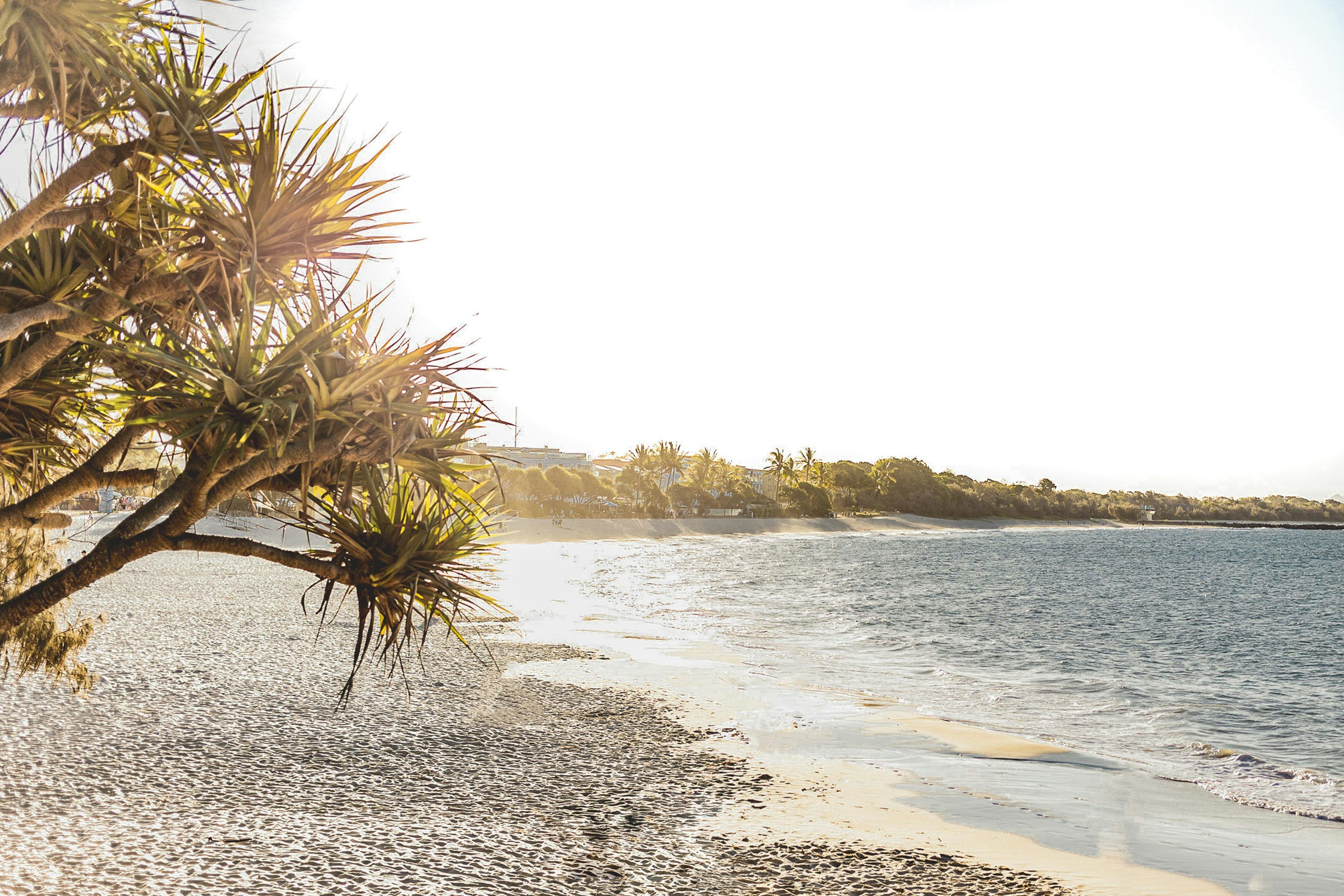 3000x2000 Noosa Main Beach Picture. Download Free Image