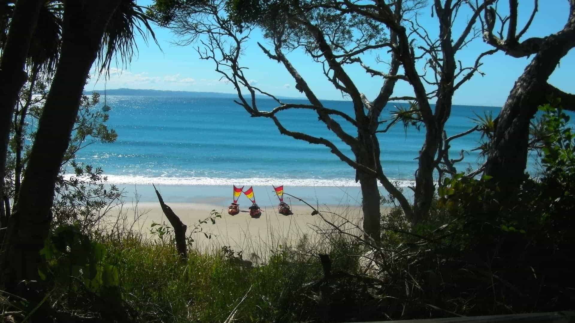 1920x1080 Noosa National Park. Sea, beaches, forest, wildlife