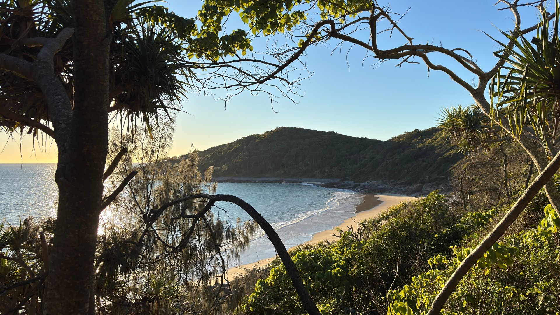 1920x1080 Everything You Need to Know About Noosa National Park