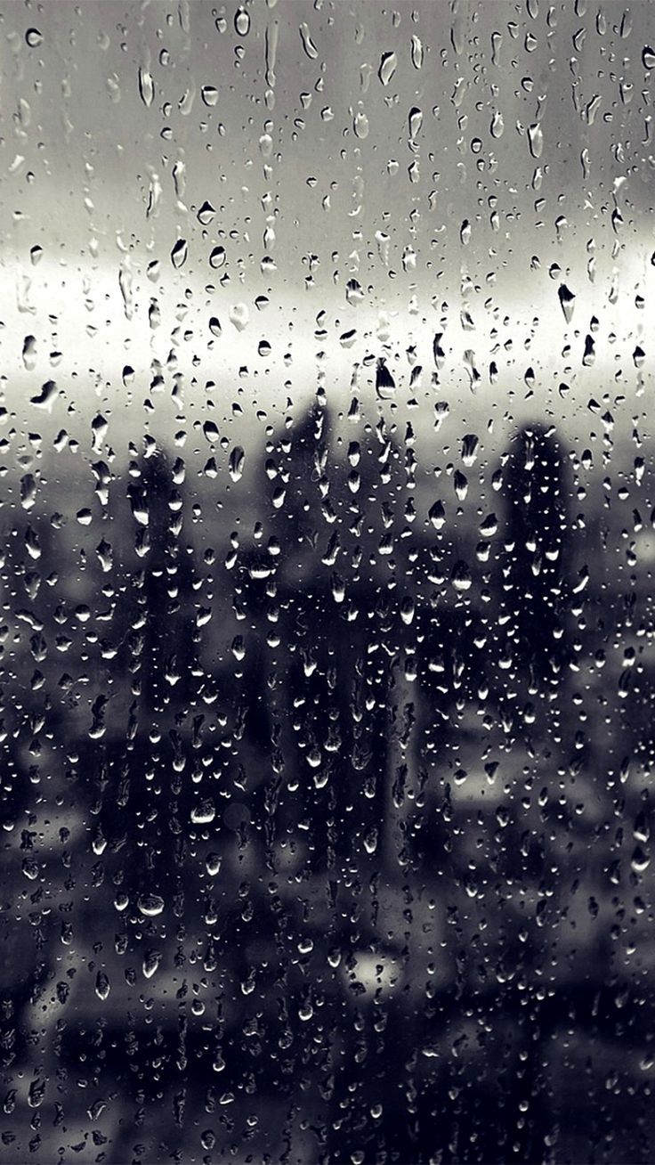736x1308 Rain Wallpaper 4K iPhone Ideas