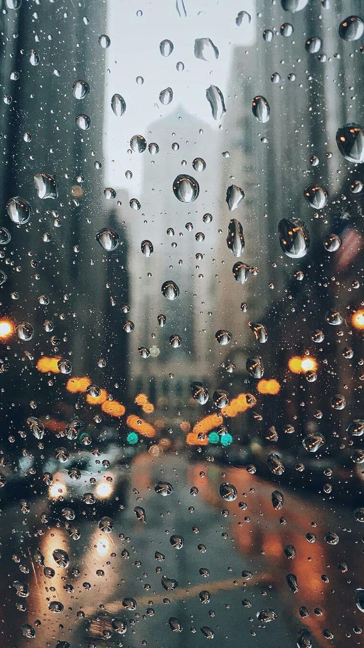 736x1309 Rainy Day Wallpaper