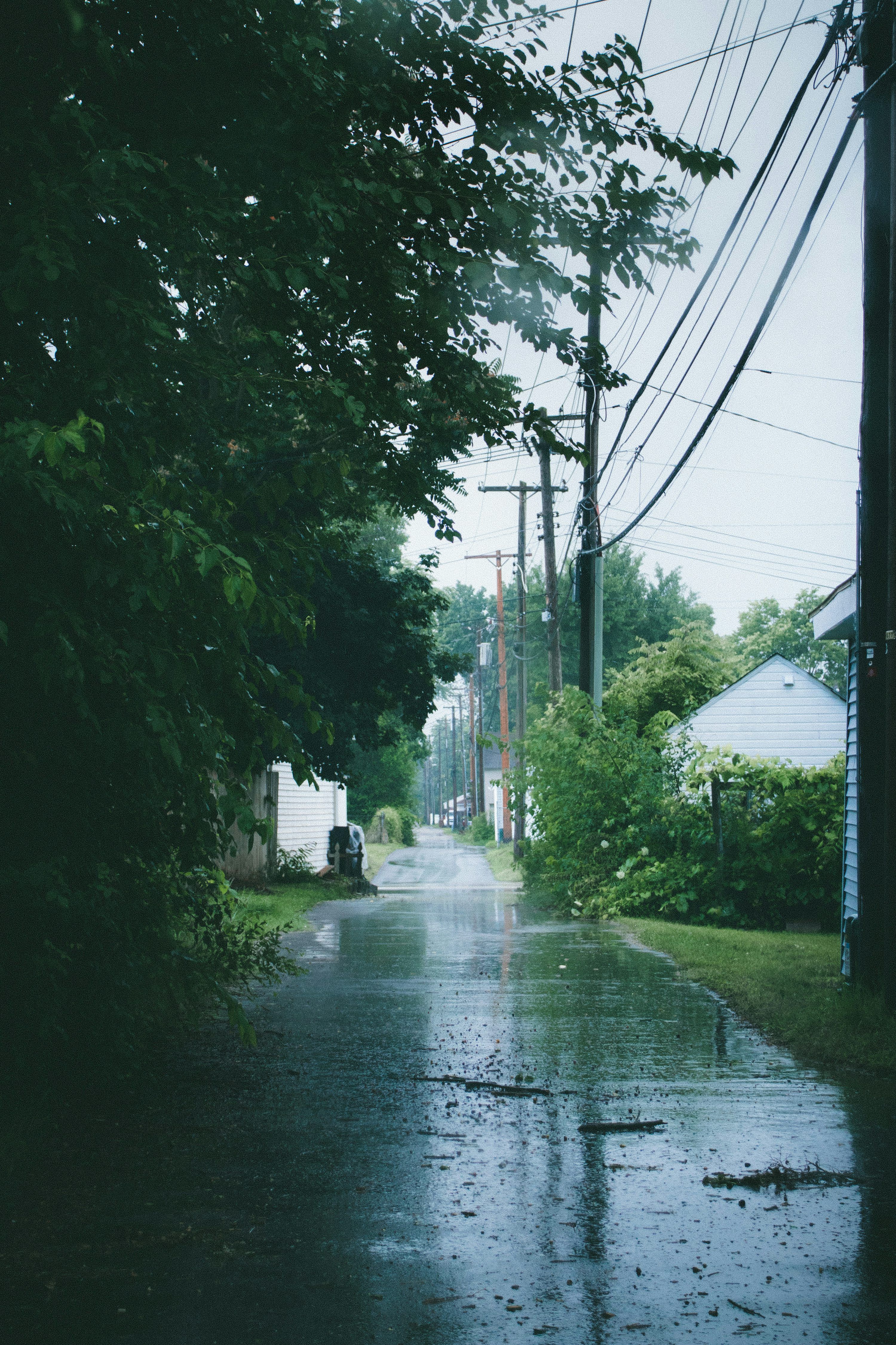 3000x4501 Rainy Days Picture. Download Free Image