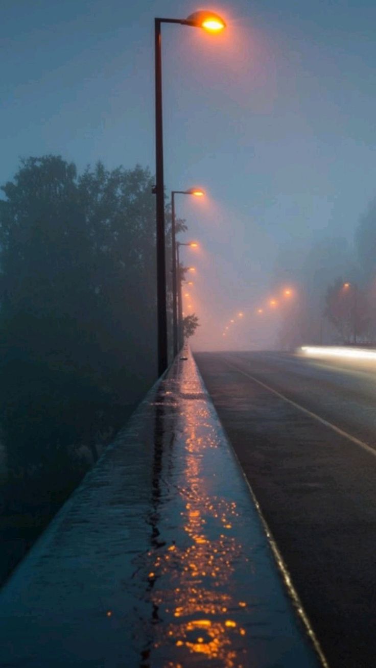 736x1308 Rainy day wallpaper
