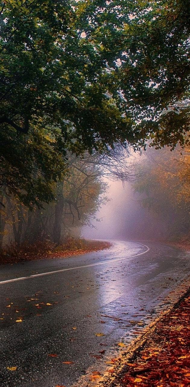 630x1280 Rainy Autumn Day Wallpaper