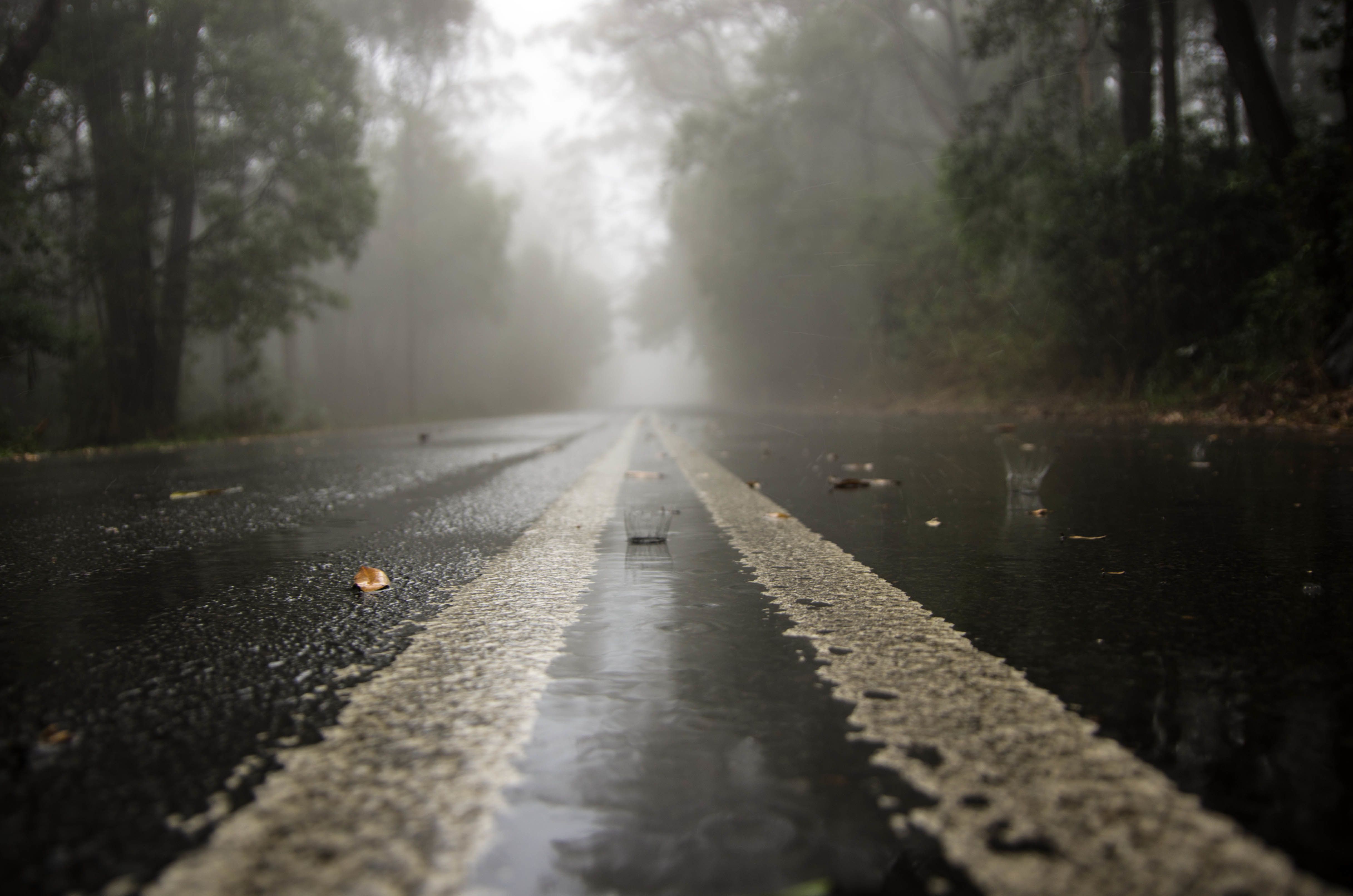 4864x3222 Wallpaper road, drops, rain, haze, Rainy day for mobile and desktop, section пейзажи, resolution 4864x3222